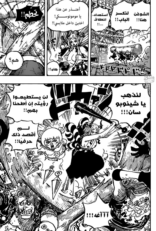 ون بيس الفصل 1005 - الصفحة 14