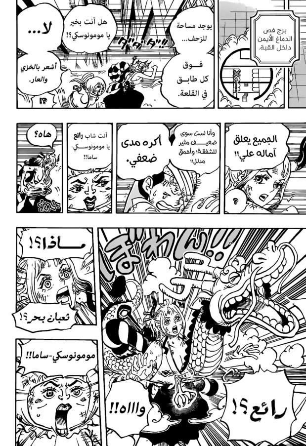 ون بيس الفصل 1007 - الصفحة 13