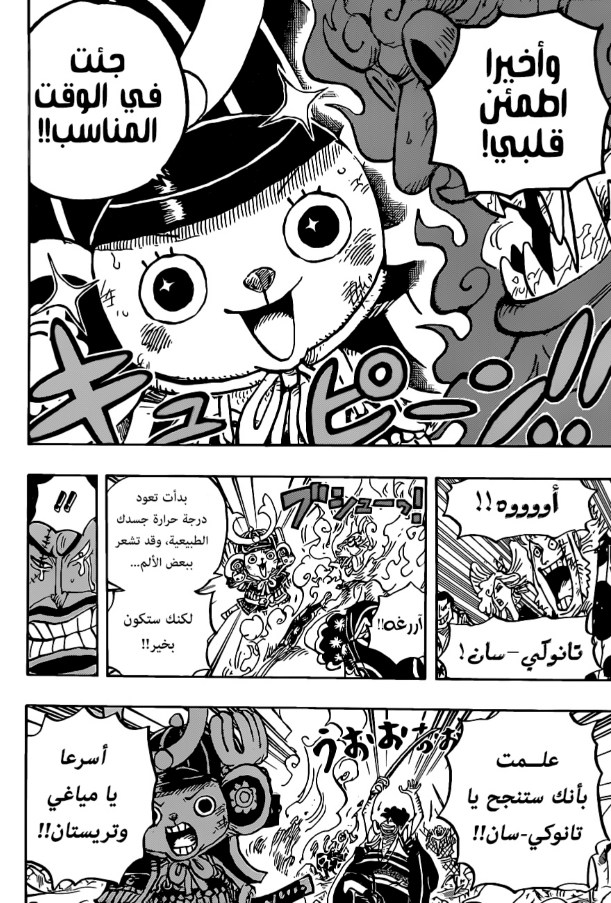 ون بيس الفصل 1007 - الصفحة 8