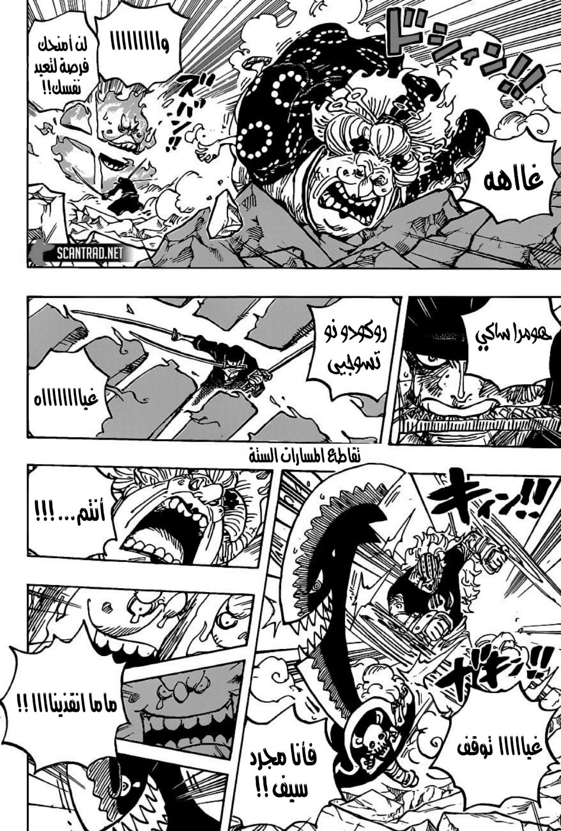 ون بيس الفصل 1009 - الصفحة 13