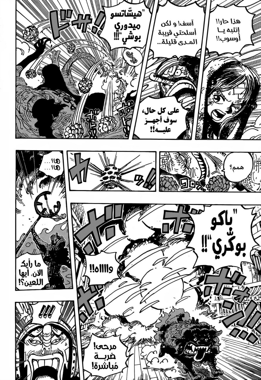 ون بيس الفصل 1011 - الصفحة 13
