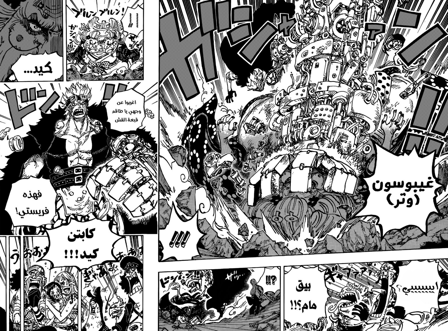 ون بيس الفصل 1013 - الصفحة 13