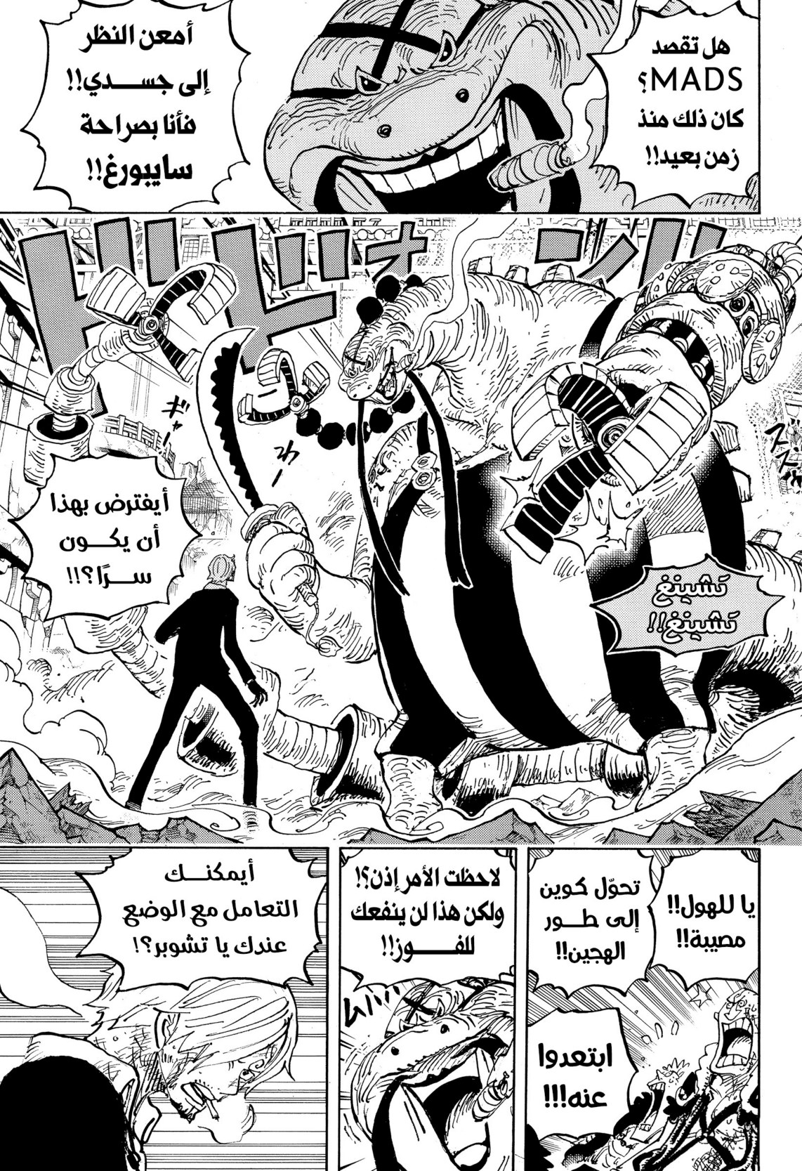 ون بيس الفصل 1017 - الصفحة 11