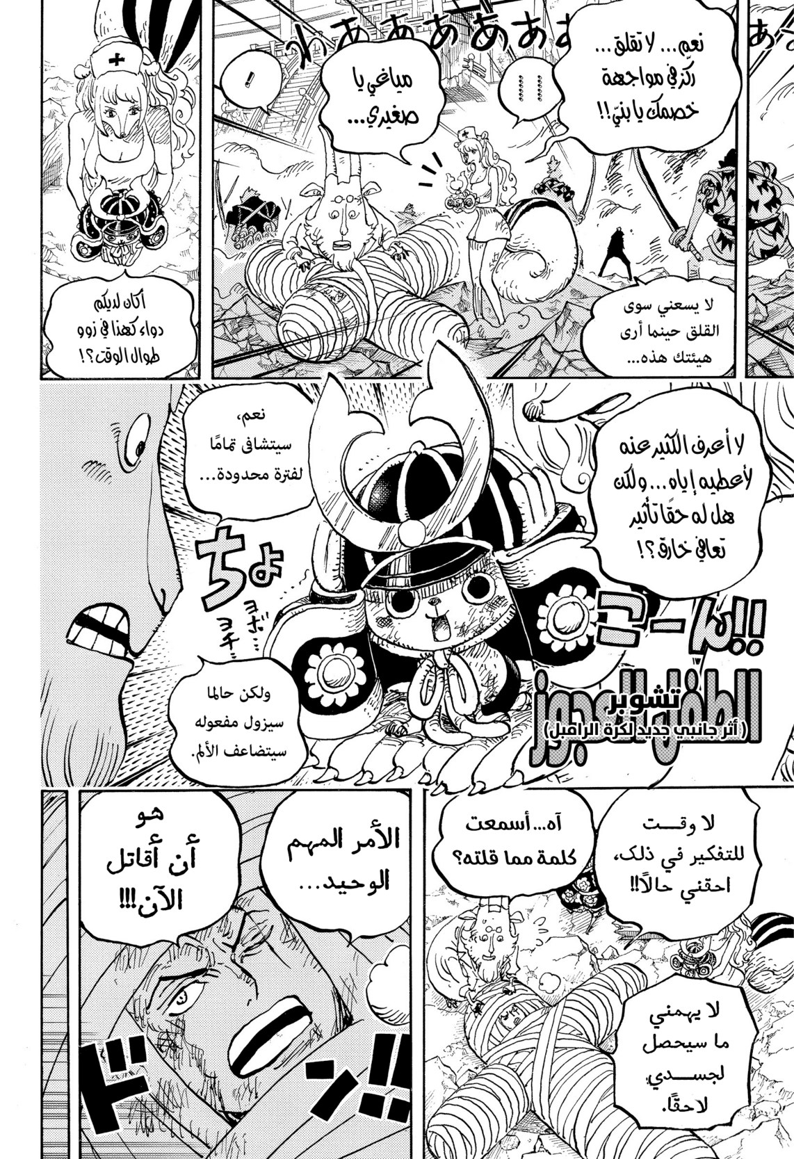 ون بيس الفصل 1017 - الصفحة 12