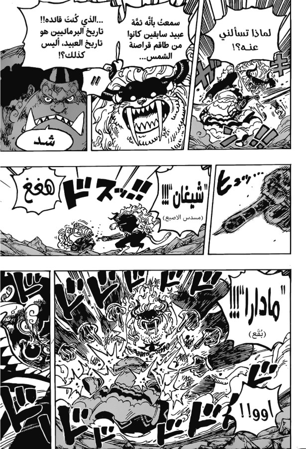 ون بيس الفصل 1018 - الصفحة 13