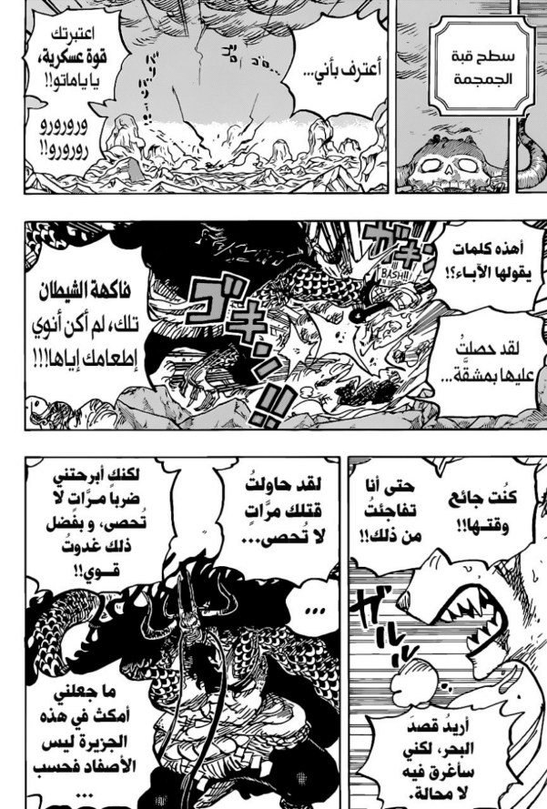 ون بيس الفصل 1019 - الصفحة 17