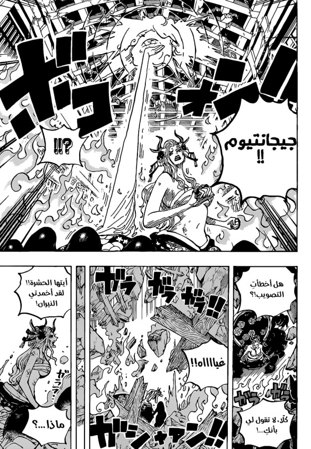 ون بيس الفصل 1021 - الصفحة 11