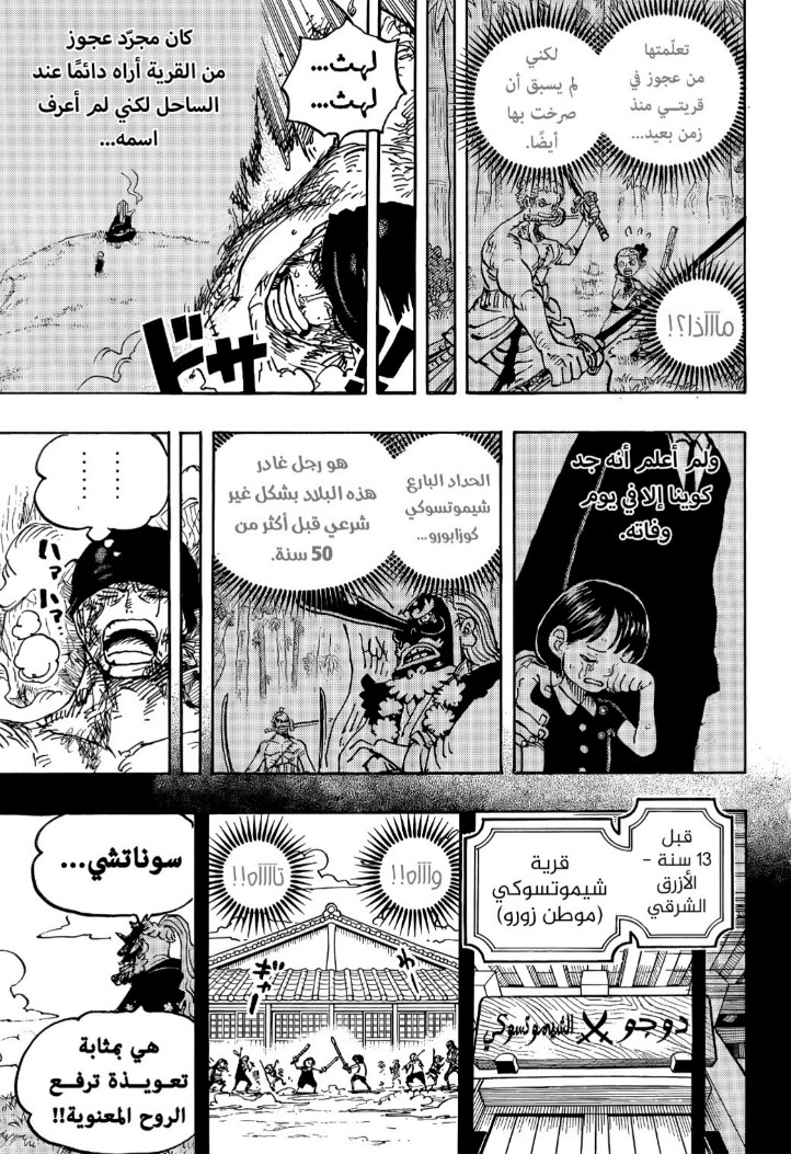 ون بيس الفصل 1033 - الصفحة 11