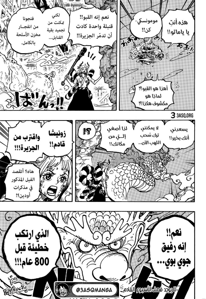 ون بيس الفصل 1040 - الصفحة 12
