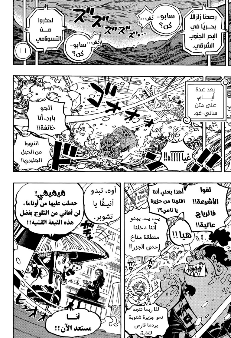 ون بيس الفصل 1060 - الصفحة 13