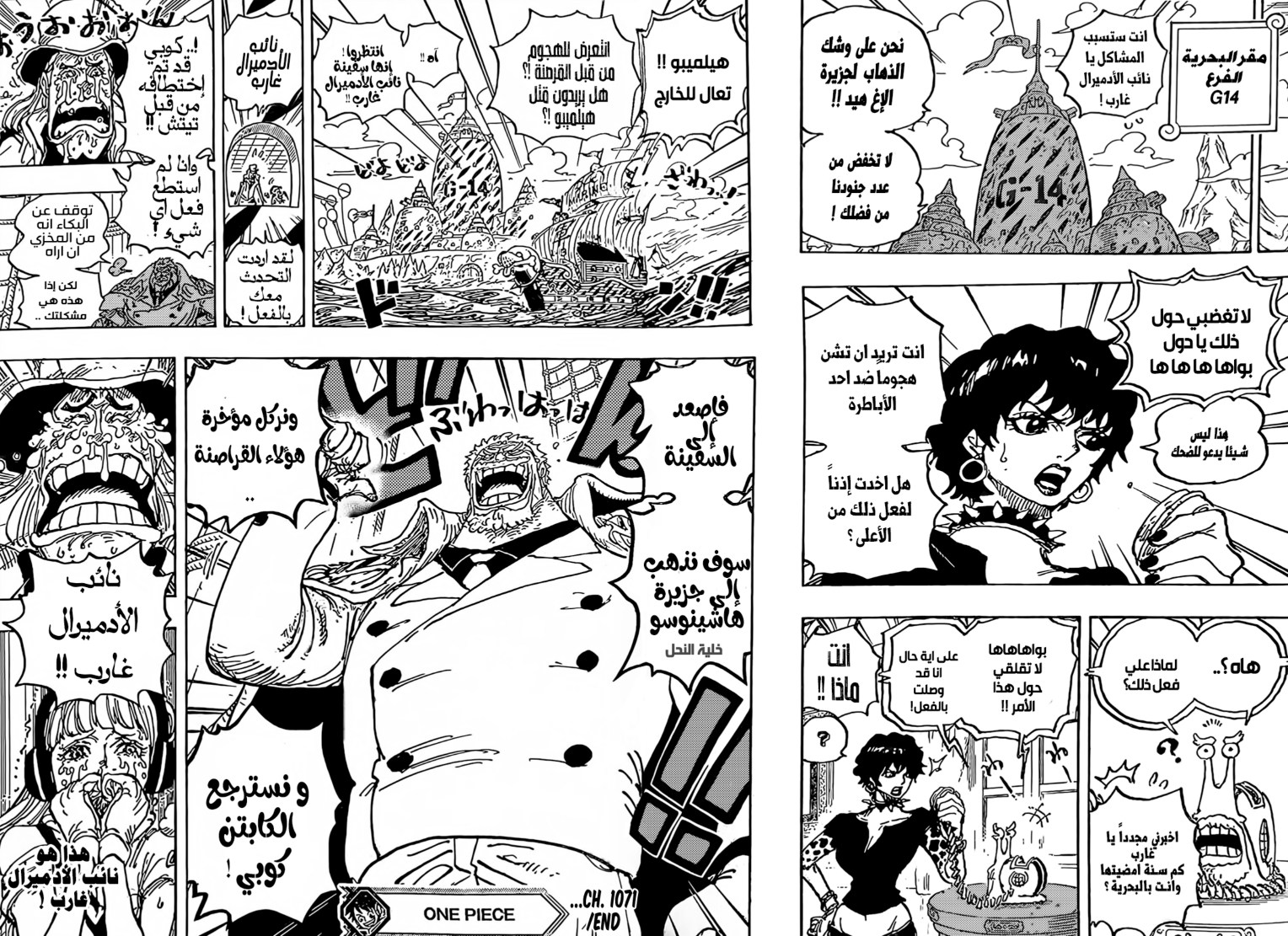 ون بيس الفصل 1071 - الصفحة 14