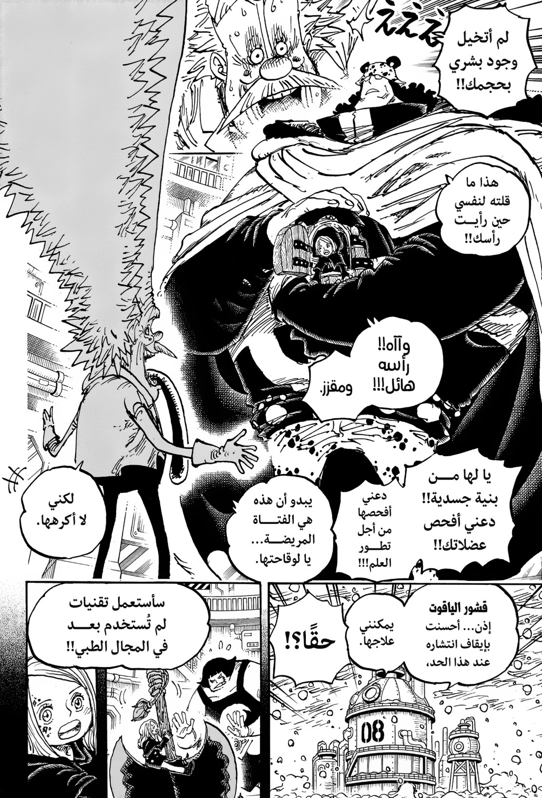 ون بيس الفصل 1099 - الصفحة 13
