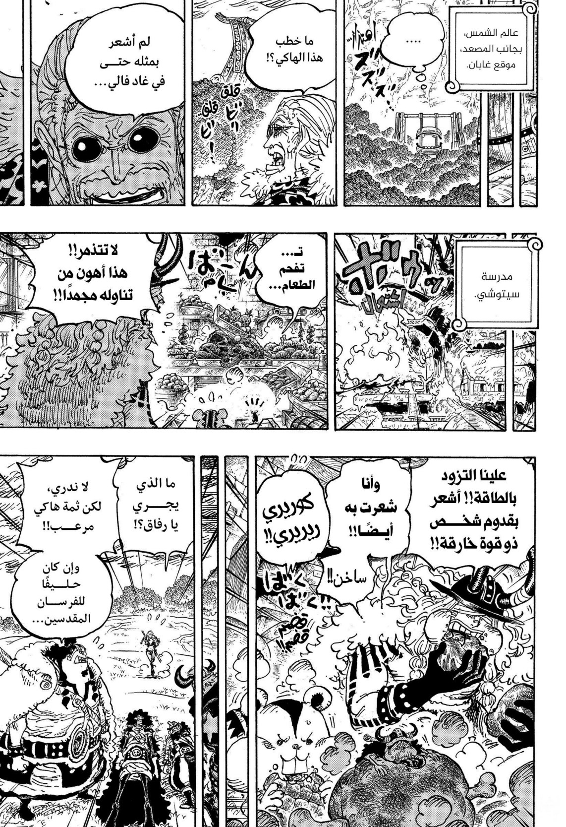 ون بيس الفصل 1180 - الصفحة 12
