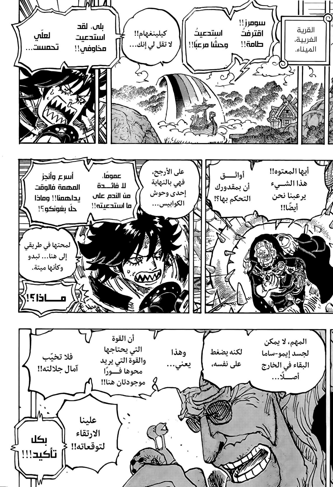 ون بيس الفصل 1182 - الصفحة 11
