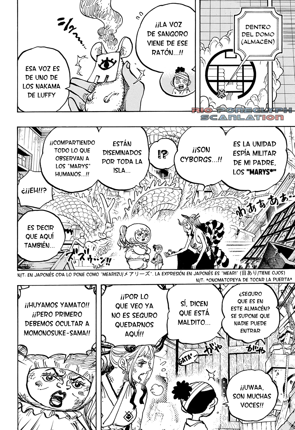 One Piece capítulo 1005 - página 13