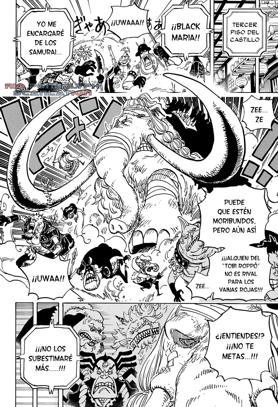 One Piece capítulo 1005 - página 15