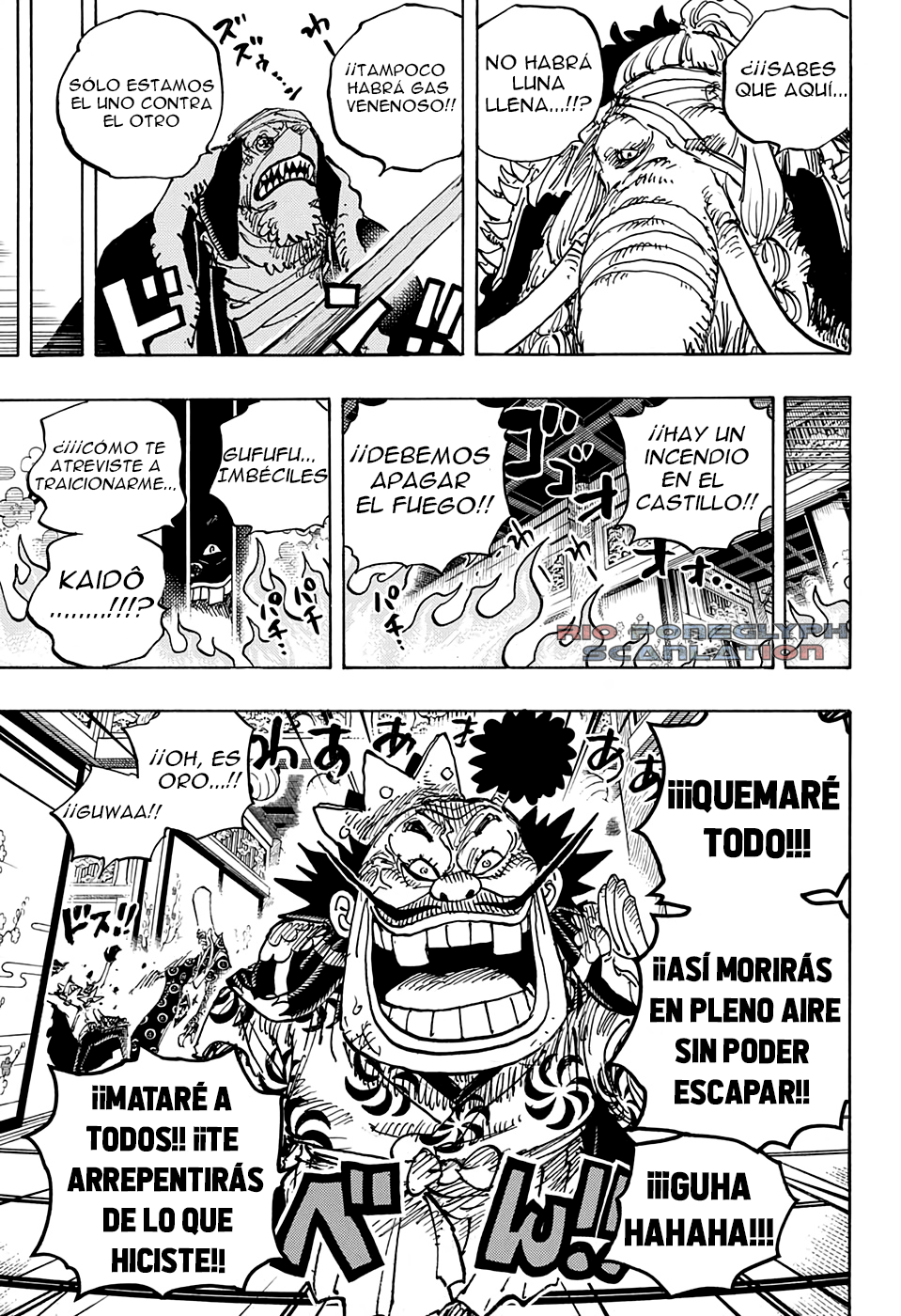 One Piece capítulo 1008 - página 13
