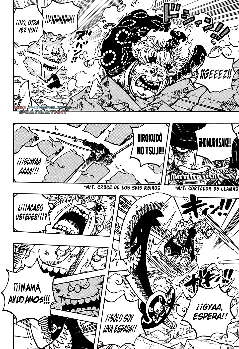 One Piece capítulo 1009 - página 13