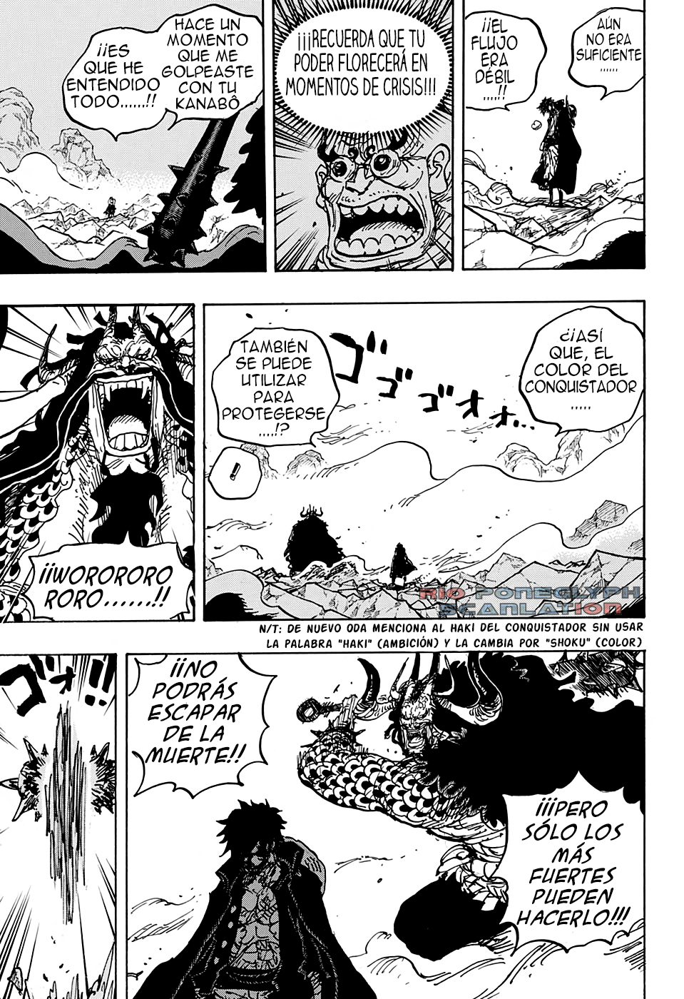 One Piece capítulo 1010 - página 12