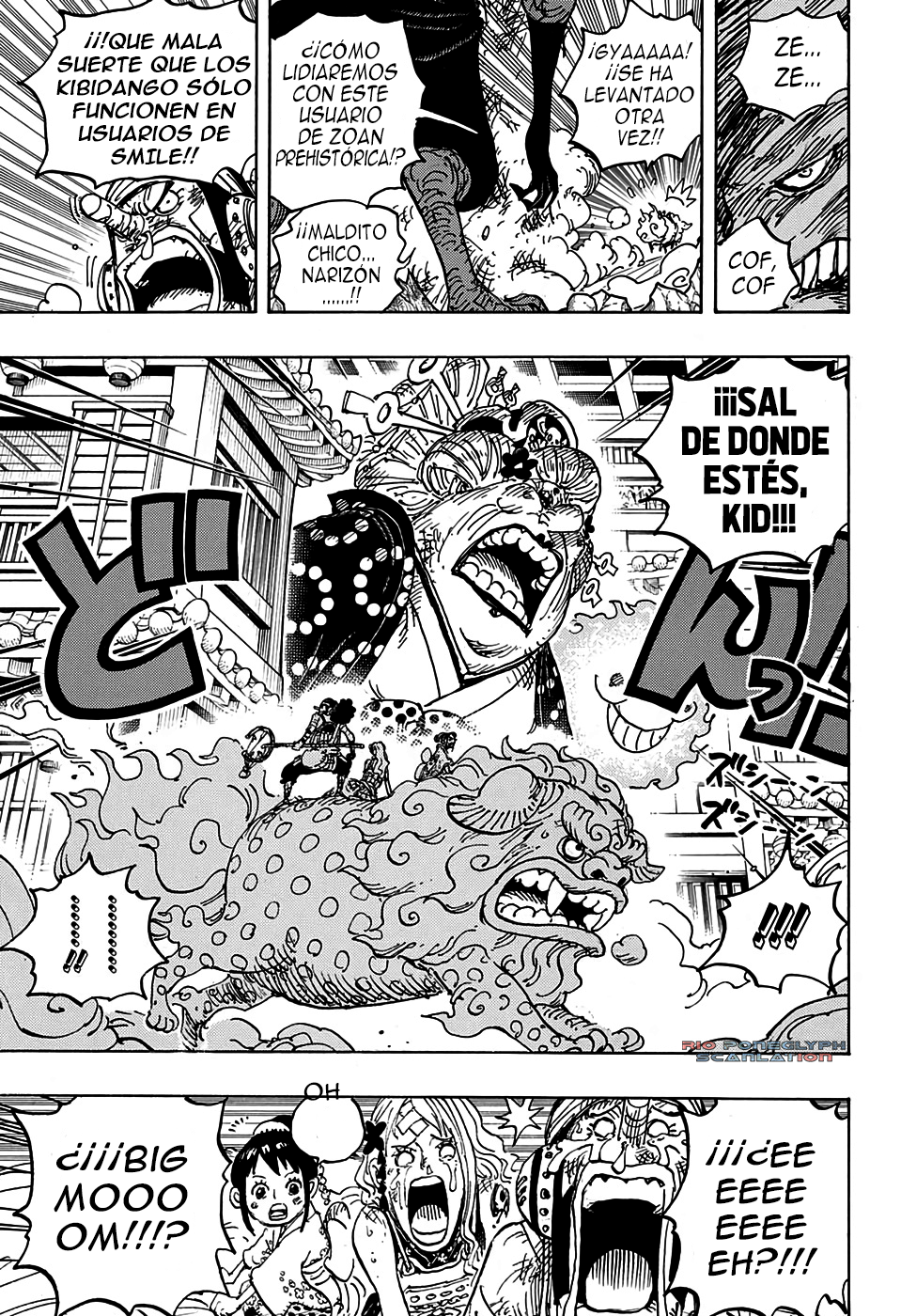 One Piece capítulo 1011 - página 13
