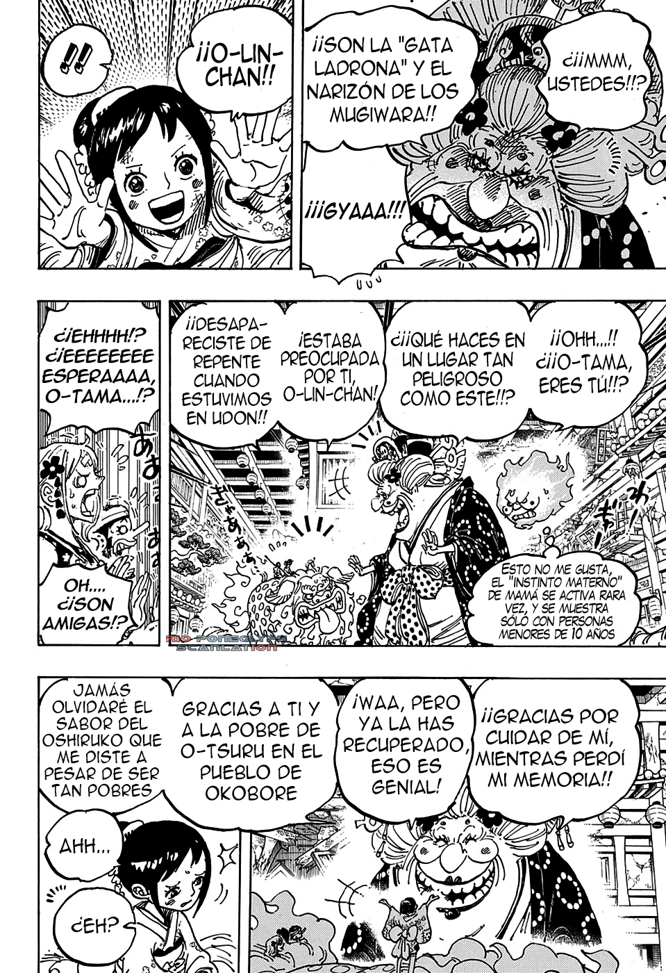 One Piece capítulo 1011 - página 14