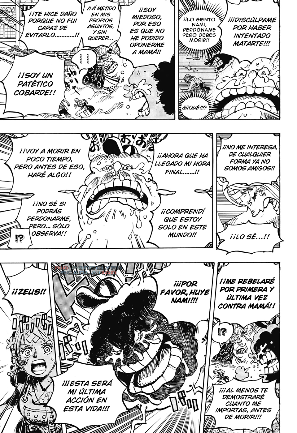 One Piece capítulo 1013 - página 10