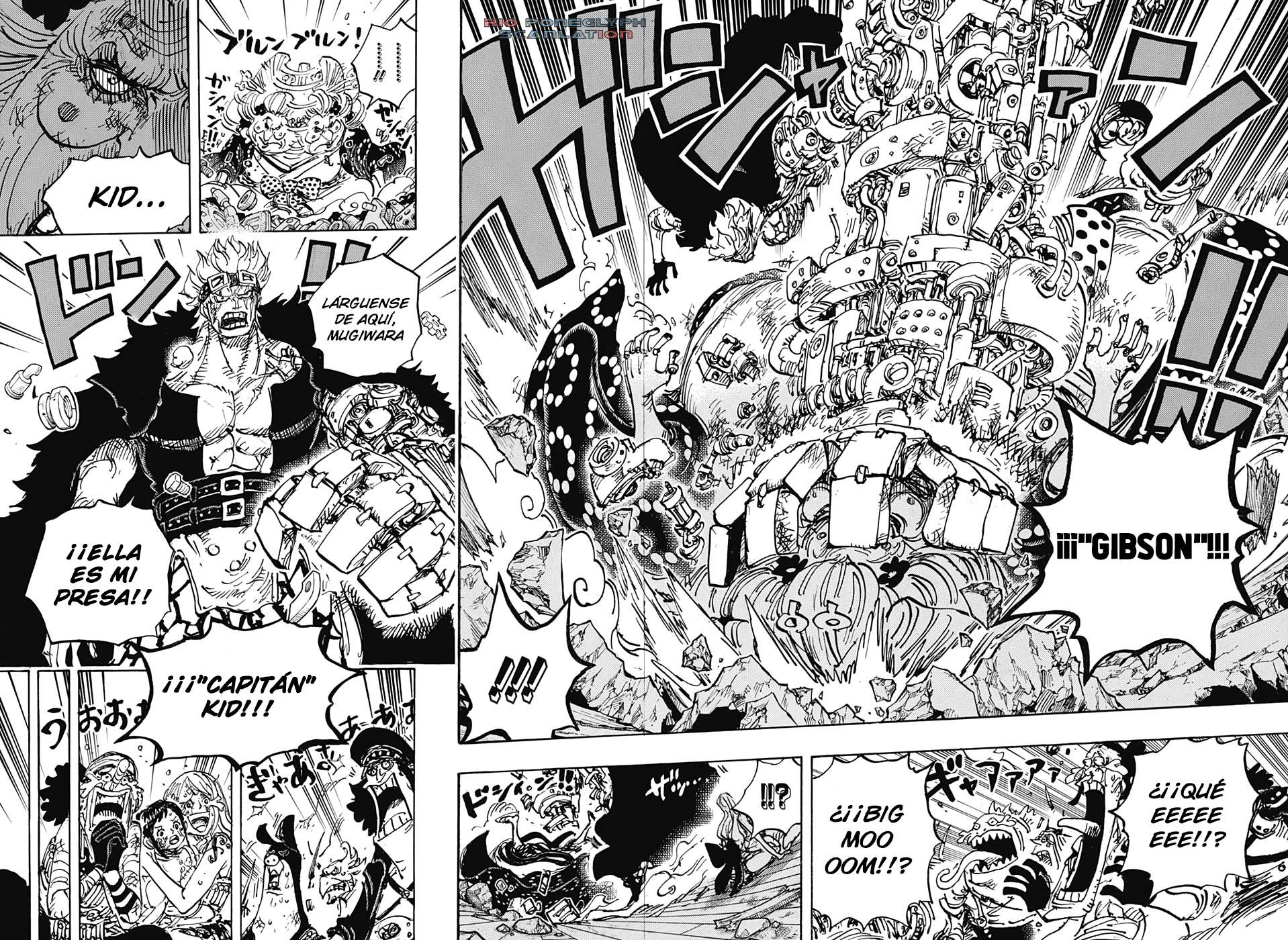 One Piece capítulo 1013 - página 13