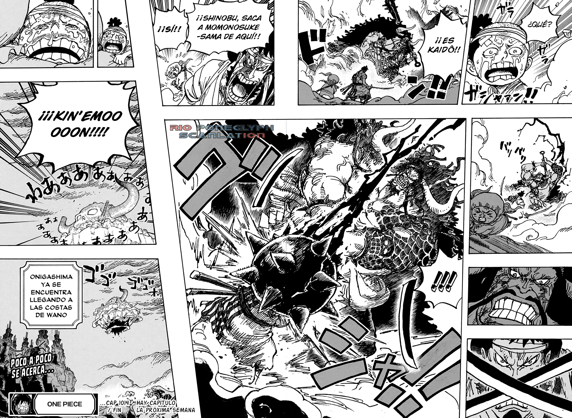 One Piece capítulo 1014 - página 15