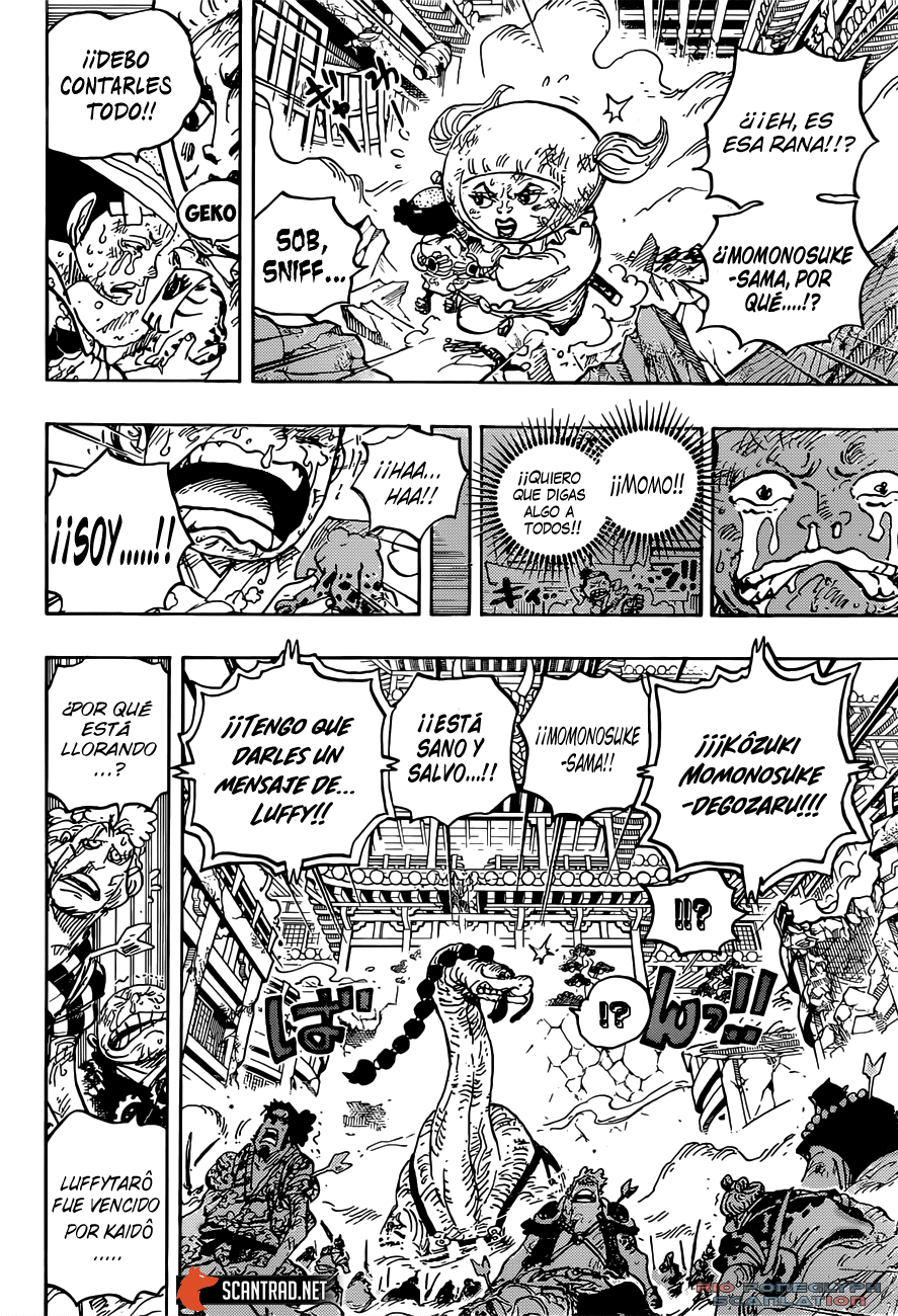 One Piece capítulo 1015 - página 11