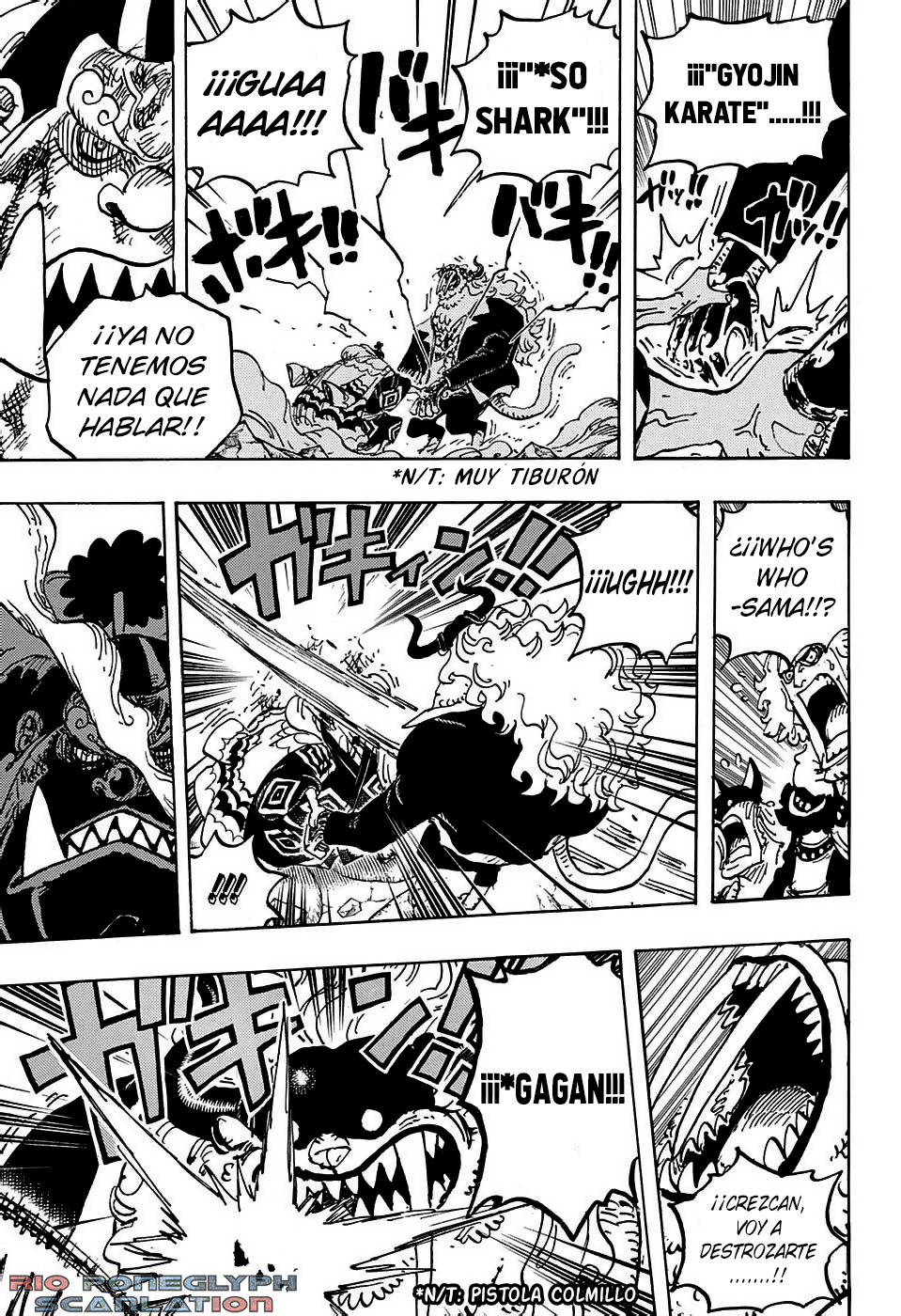 One Piece capítulo 1018 - página 15
