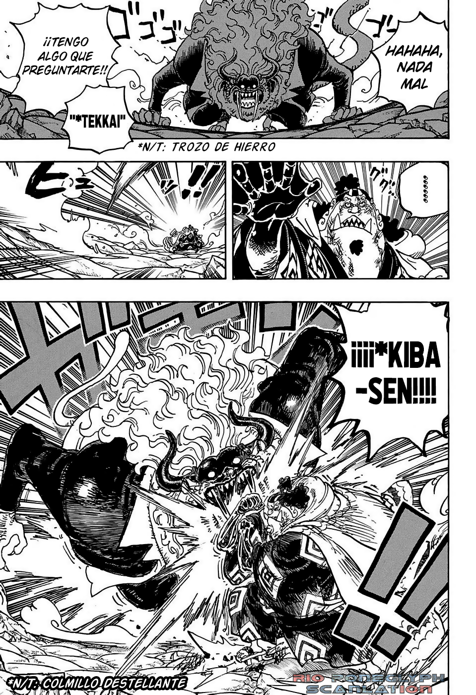 One Piece capítulo 1018 - página 9