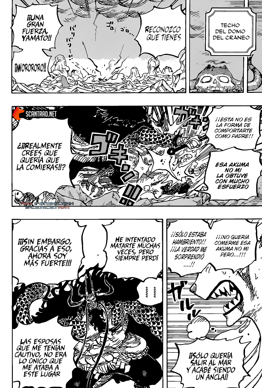 One Piece capítulo 1019 - página 16