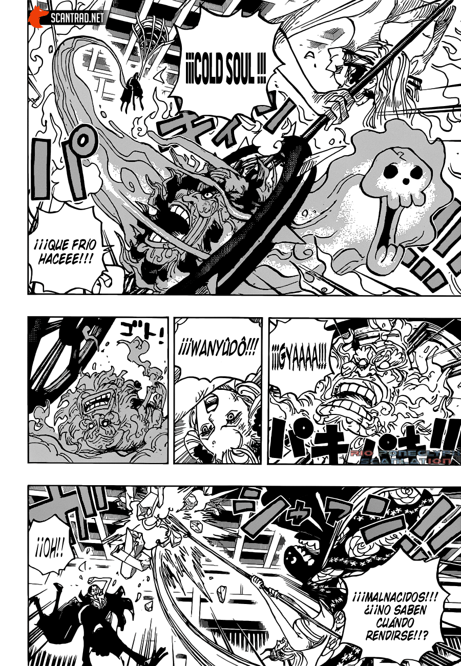 One Piece capítulo 1020 - página 12