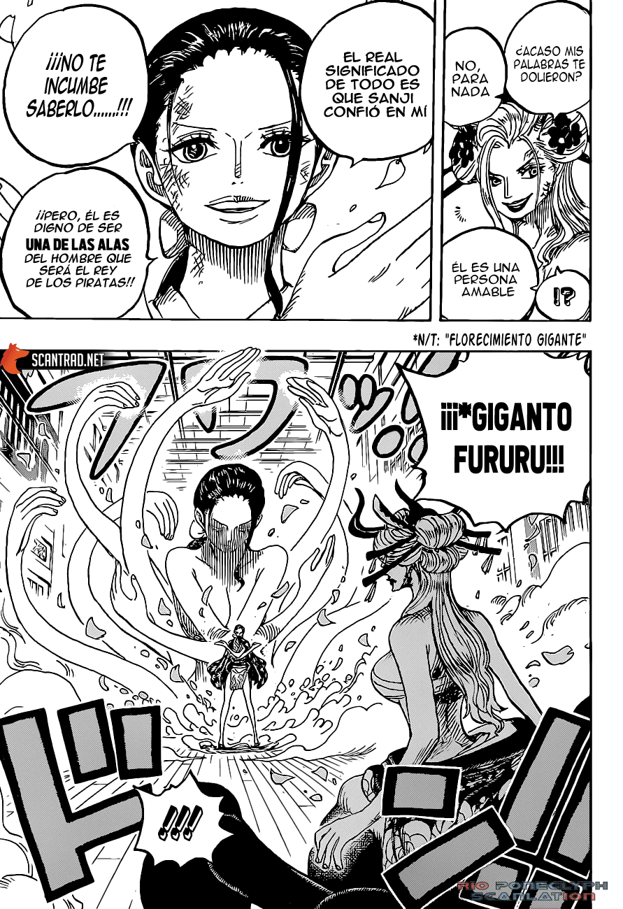 One Piece capítulo 1020 - página 15