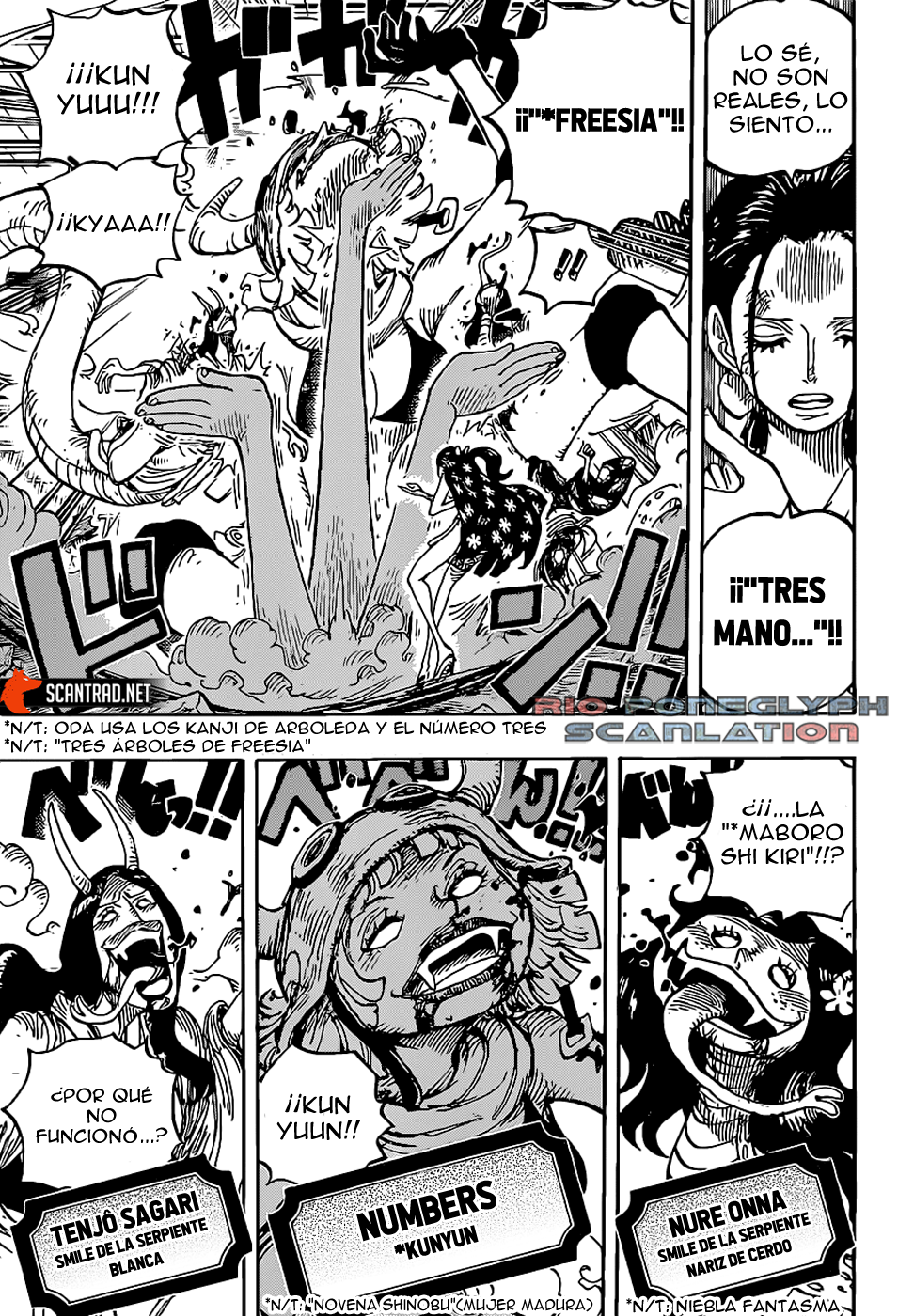 One Piece capítulo 1020 - página 7
