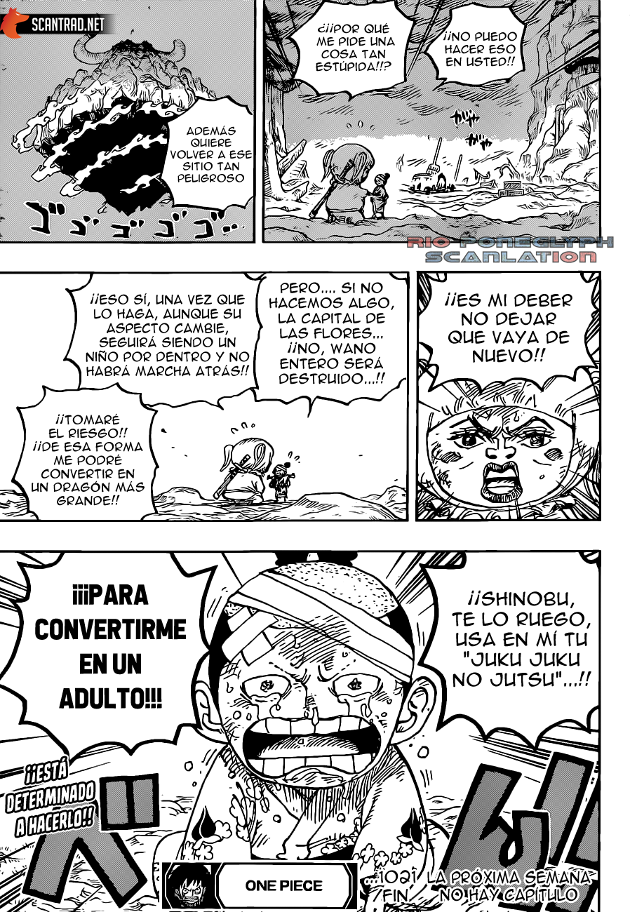 One Piece capítulo 1021 - página 15