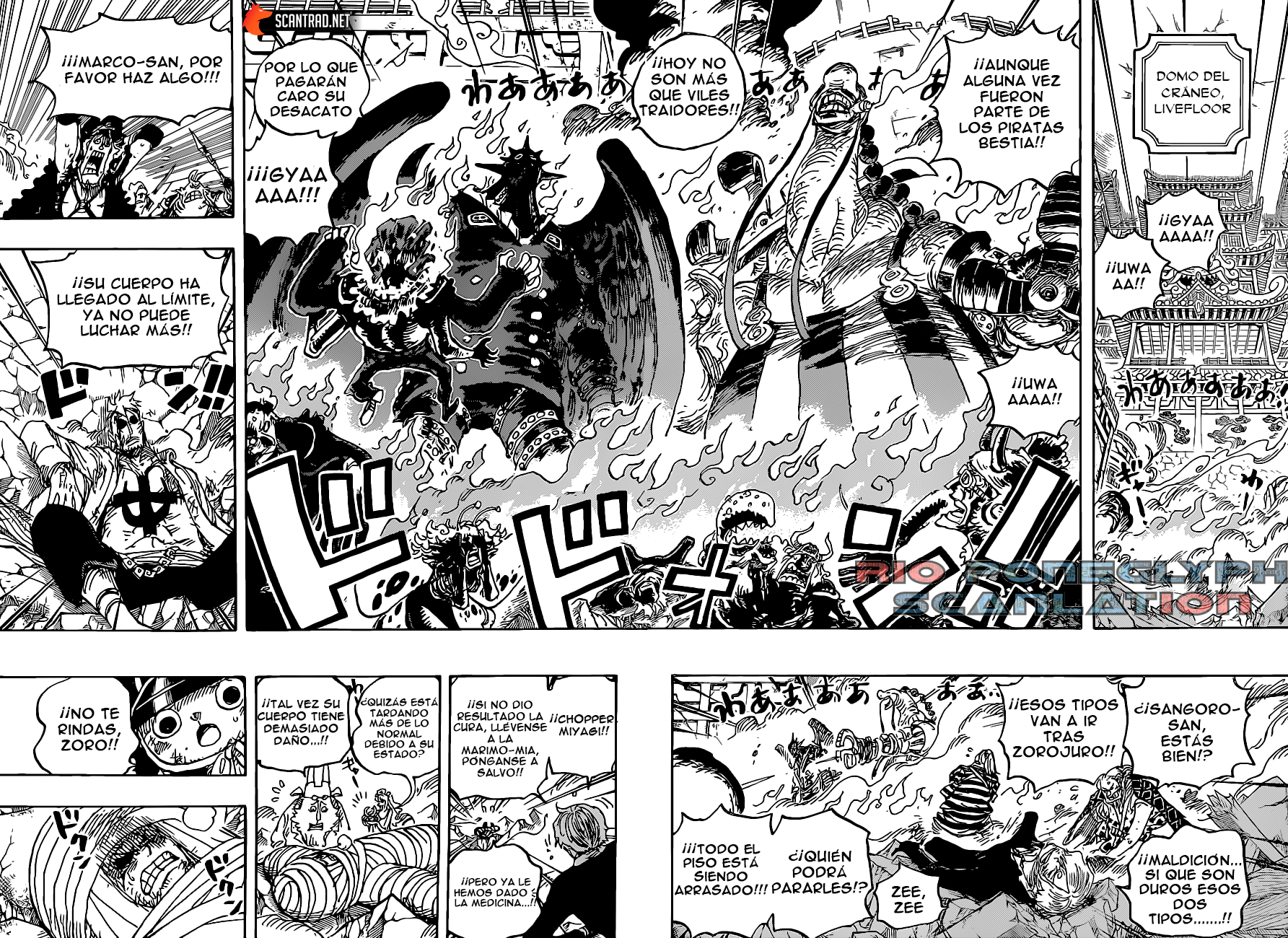 One Piece capítulo 1022 - página 10
