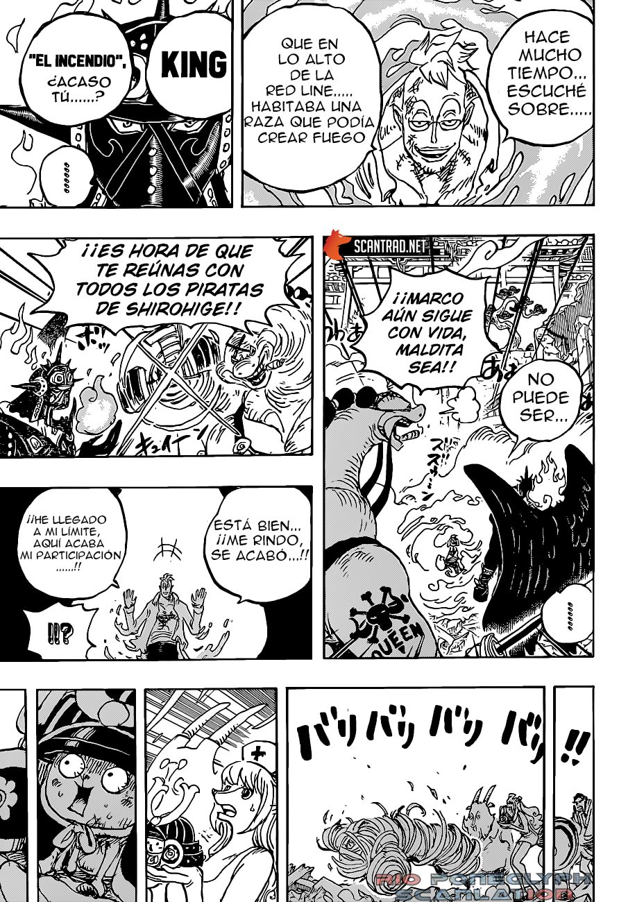 One Piece capítulo 1022 - página 14