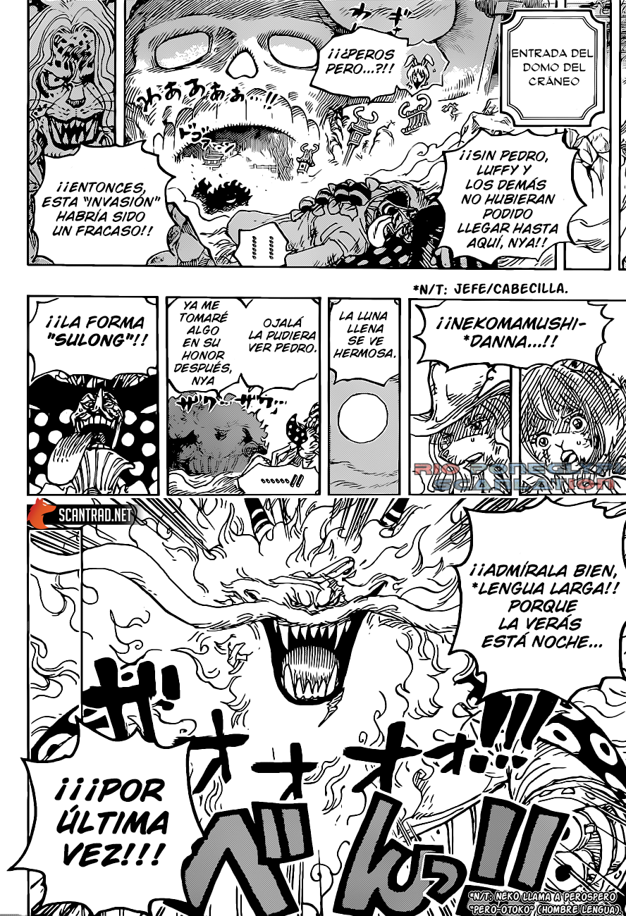 One Piece capítulo 1023 - página 15
