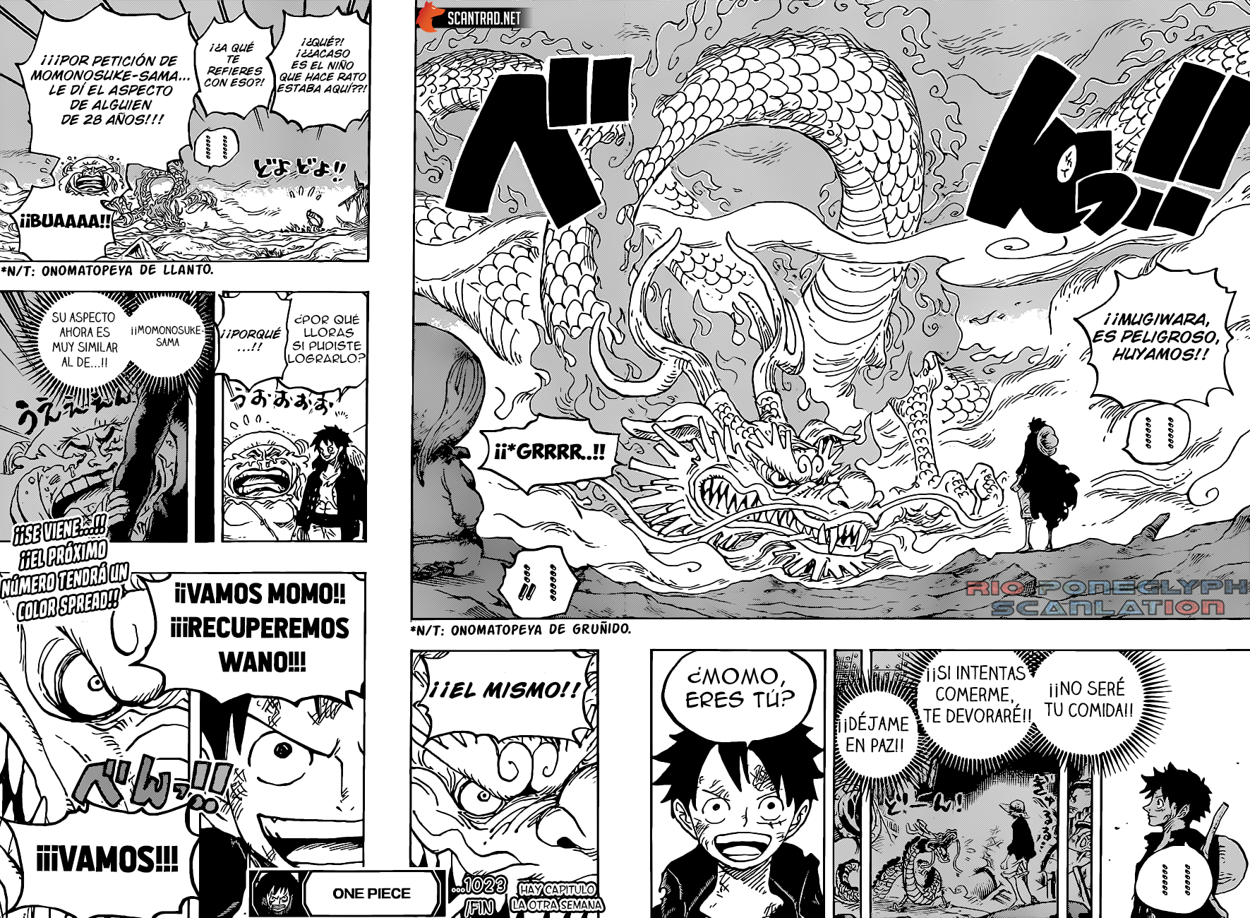 One Piece capítulo 1023 - página 17