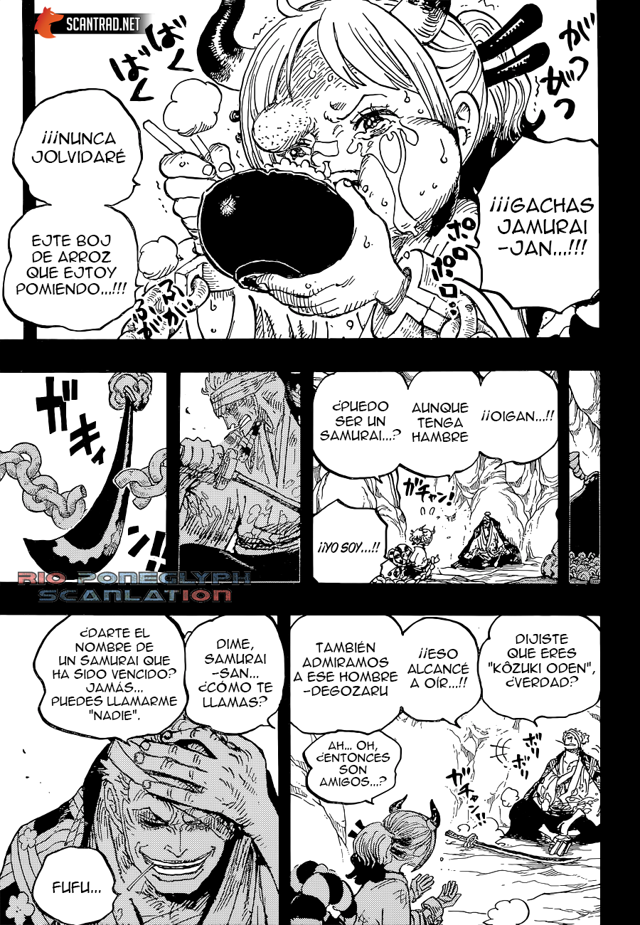 One Piece capítulo 1024 - página 14