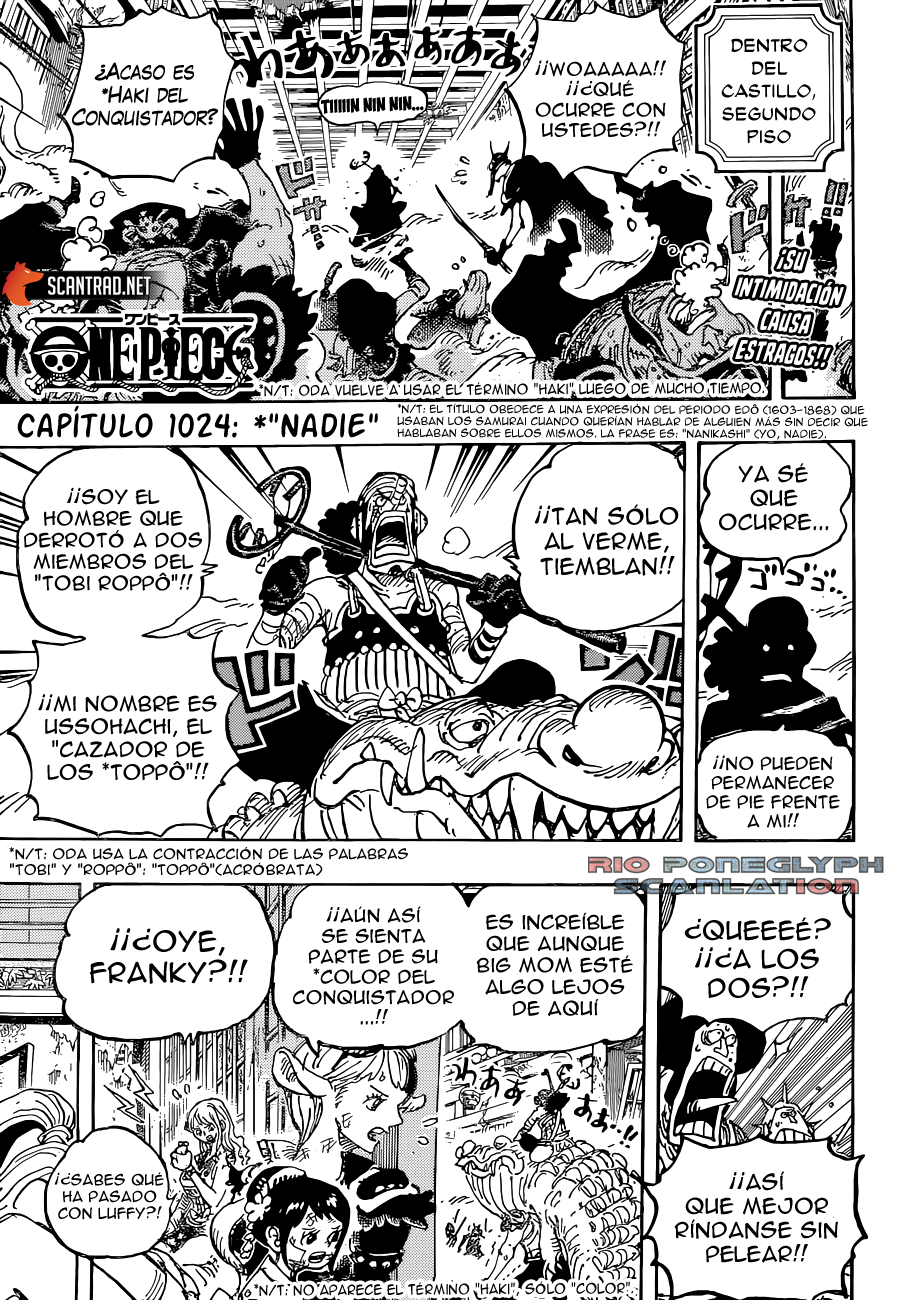 One Piece capítulo 1024 - página 2