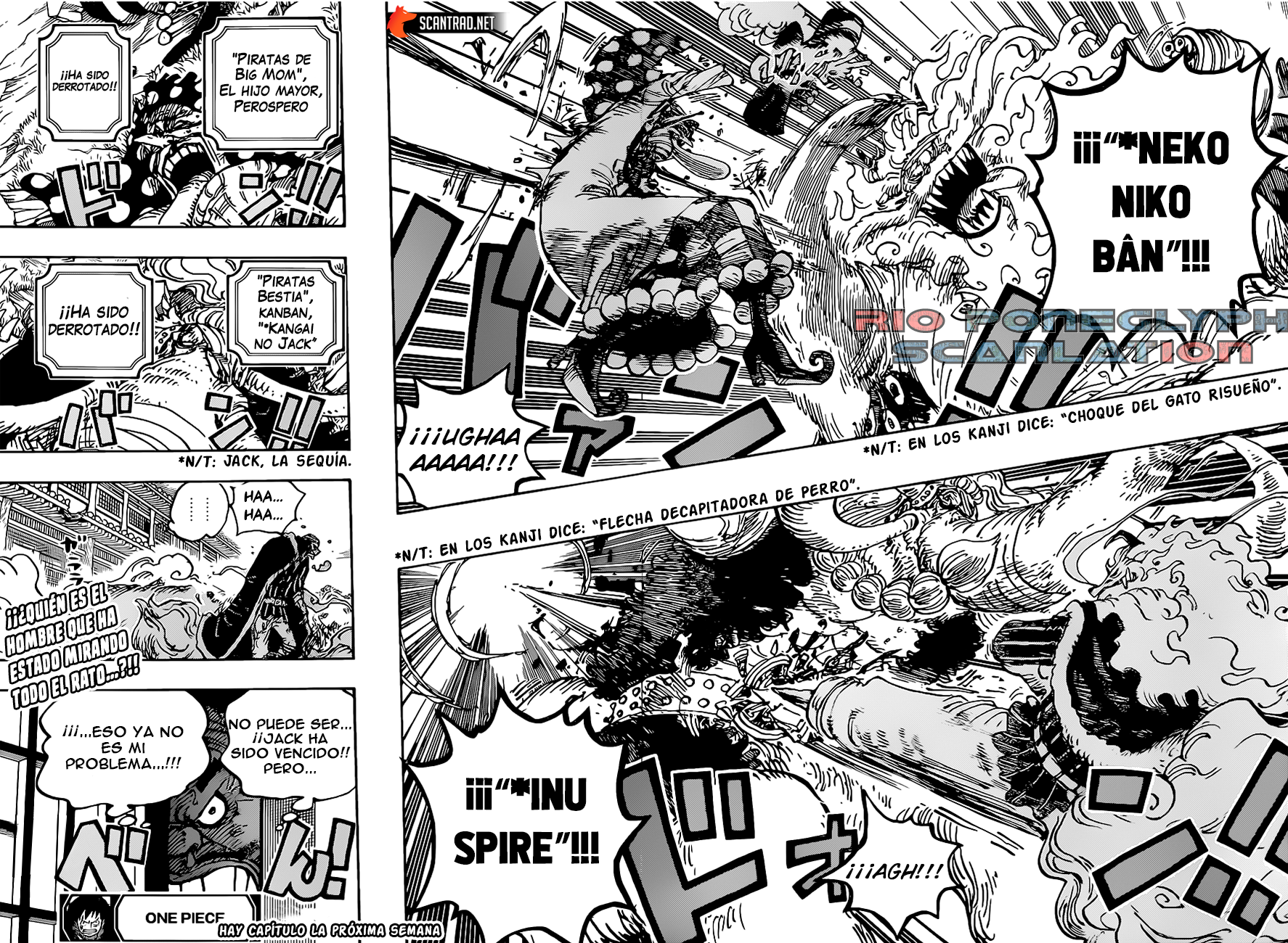 One Piece capítulo 1026 - página 14