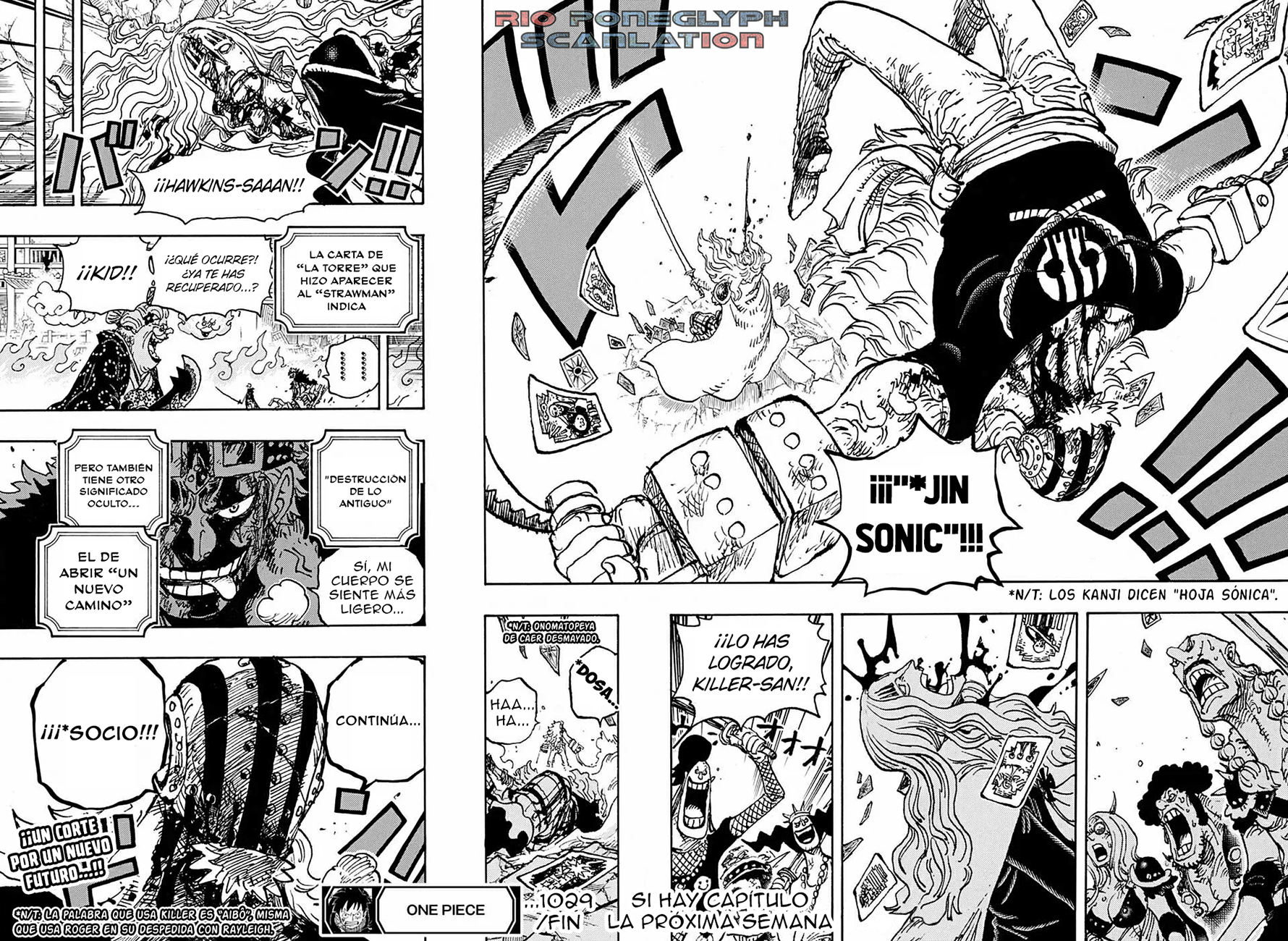 One Piece capítulo 1029 - página 14