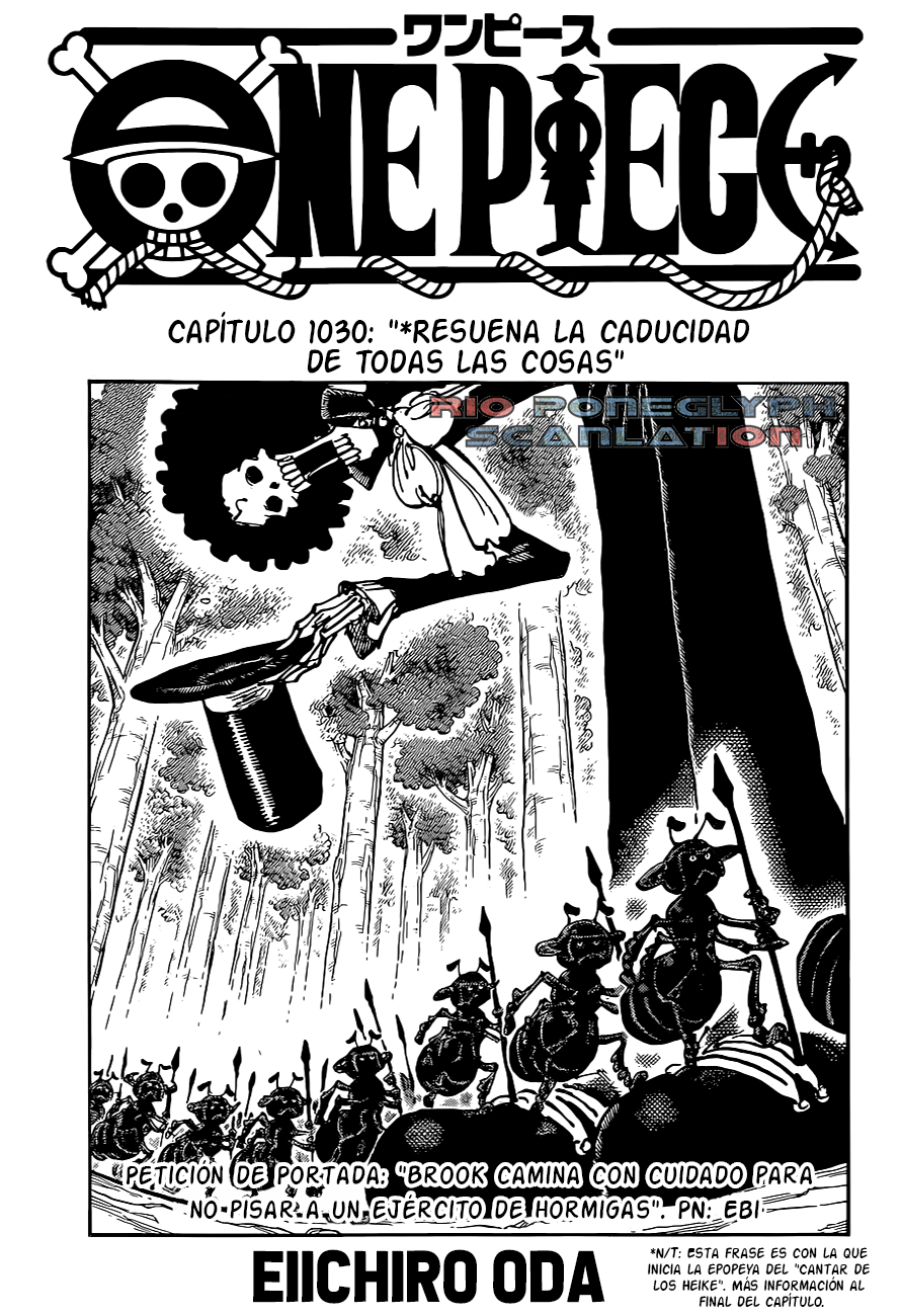 One Piece capítulo 1030 - página 1