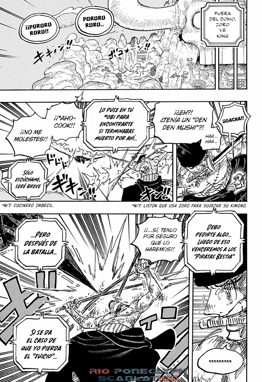 One Piece capítulo 1031 - página 15