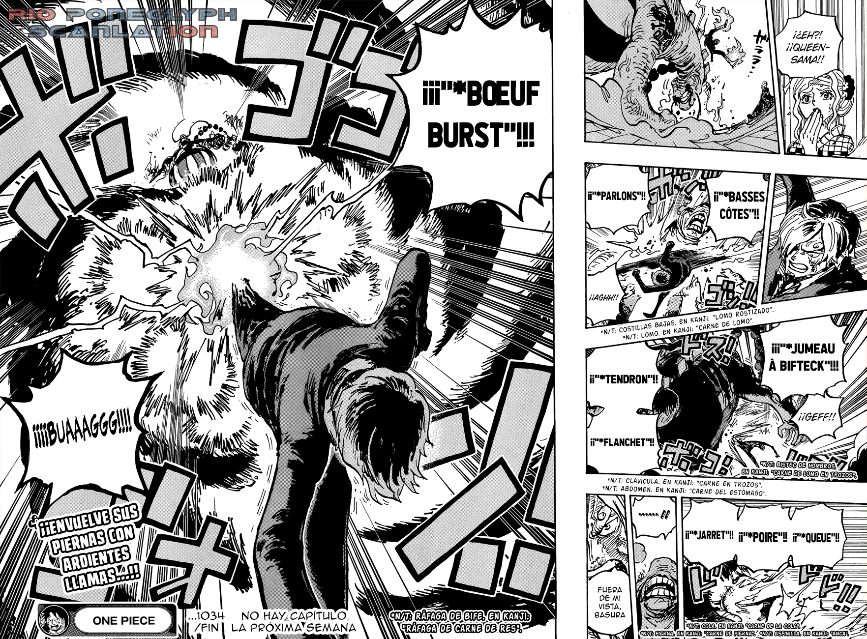 One Piece capítulo 1034 - página 15