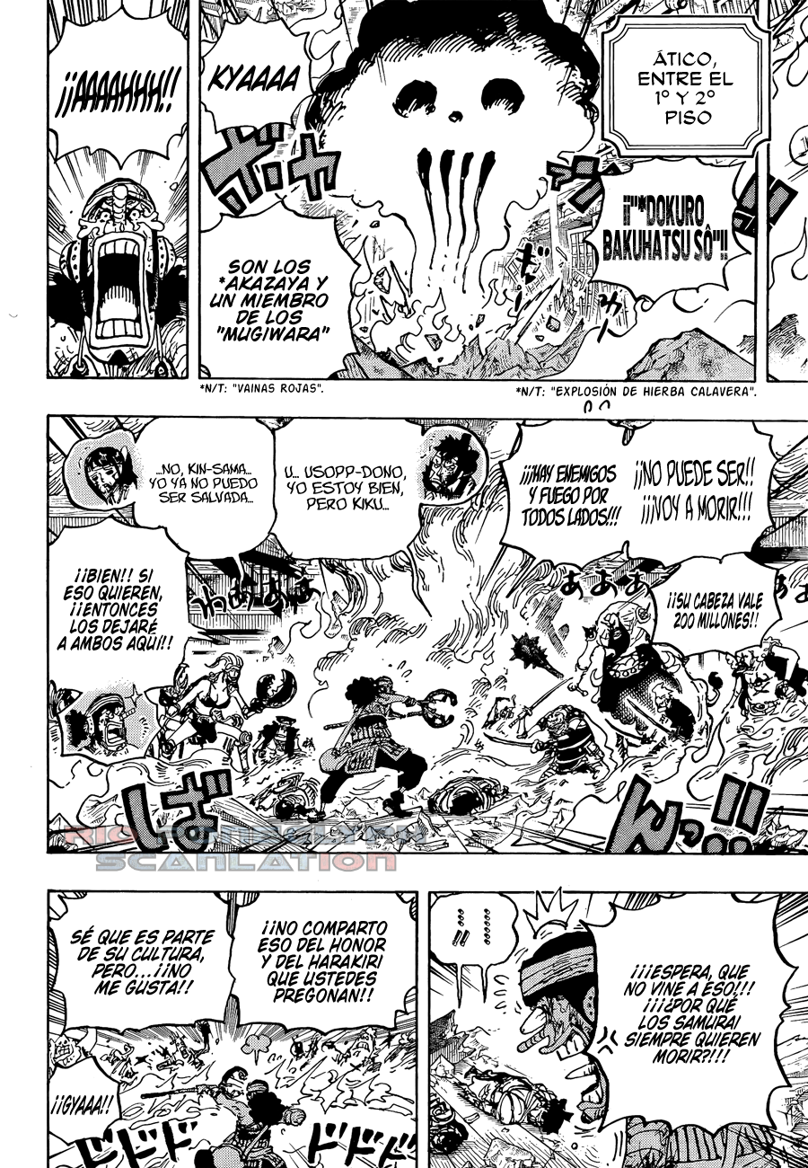 One Piece capítulo 1036 - página 8