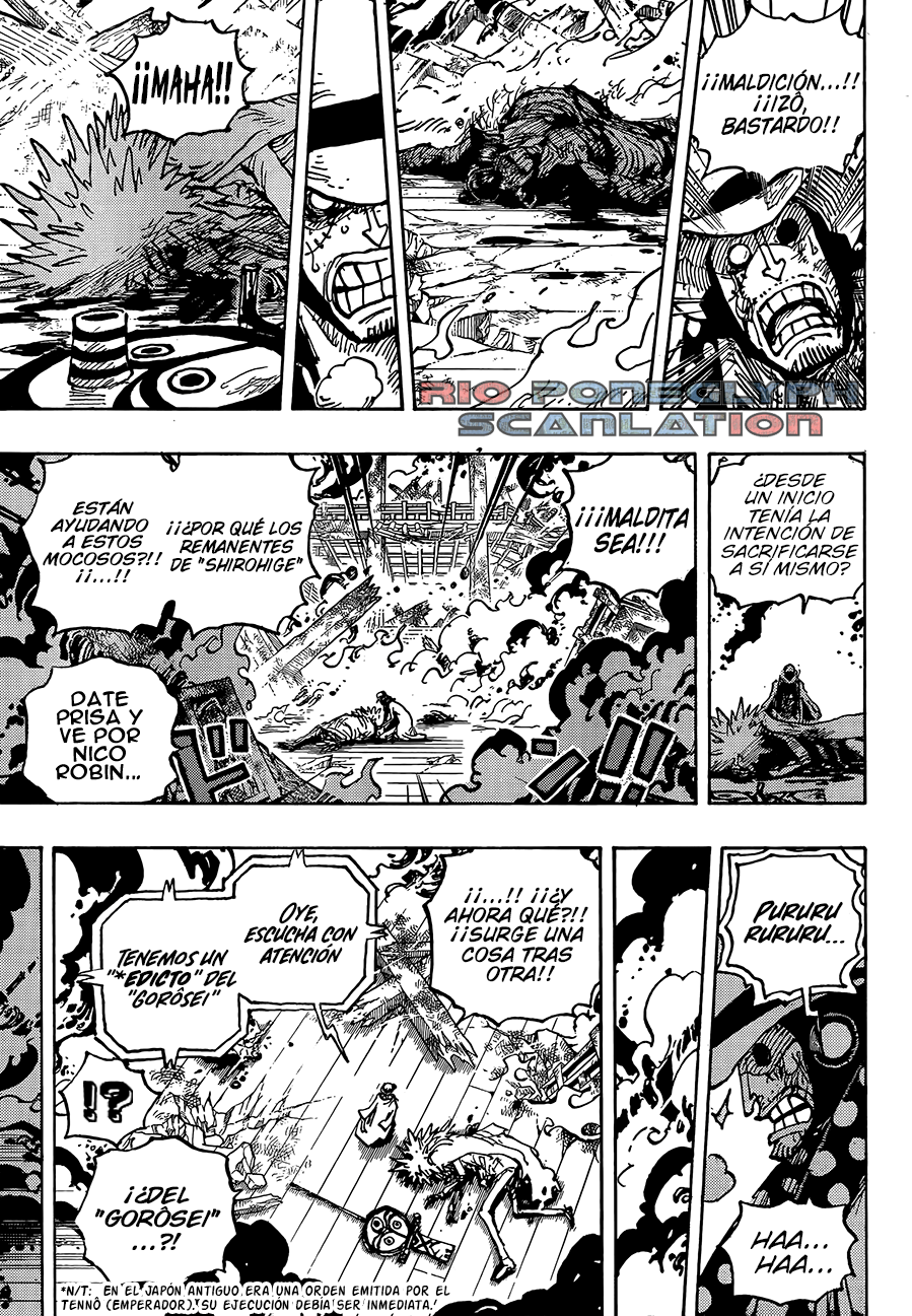 One Piece capítulo 1041 - página 9