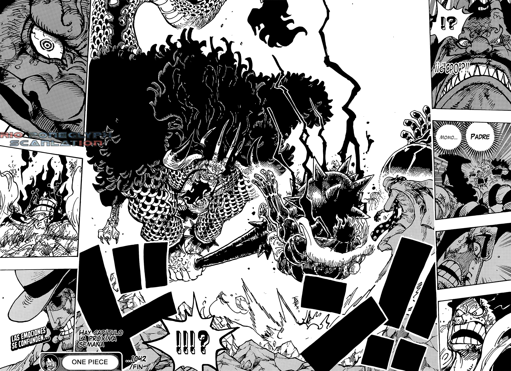 One Piece capítulo 1042 - página 14